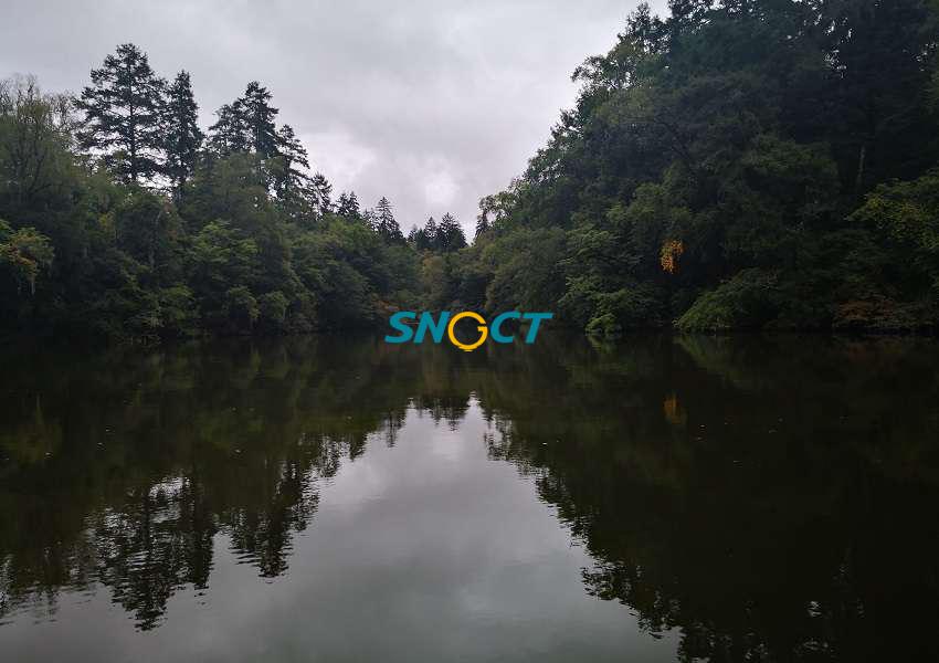 森林營(yíng)造應(yīng)注意哪些問(wèn)題？七個(gè)方面需引起重視！