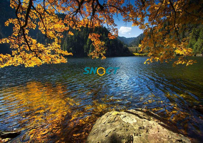 旅游規(guī)劃的主要類型有哪些？