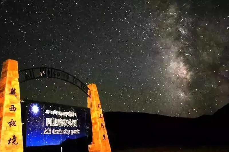 1629702741110329.jpg 阿里暗夜公園.jpg