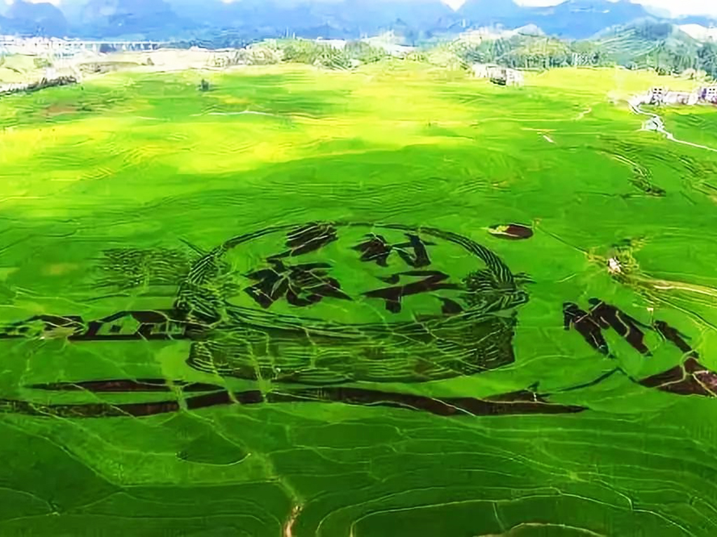 鄉(xiāng)村振興 鄉(xiāng)村振興.jpg