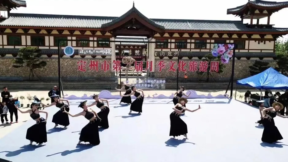 定州市第二屆月季文化旅游周現(xiàn)場(chǎng)舞蹈.jpg