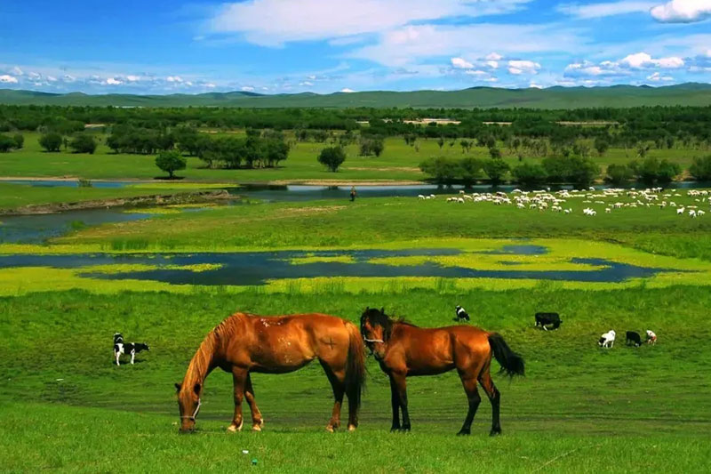 1652323622148754.jpg 山丹軍馬場(chǎng).jpg