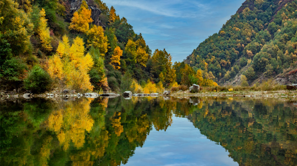 文旅動(dòng)態(tài)：文化和旅游部和青海省召開小組會(huì)議，共同打造國際生態(tài)旅游目的地！