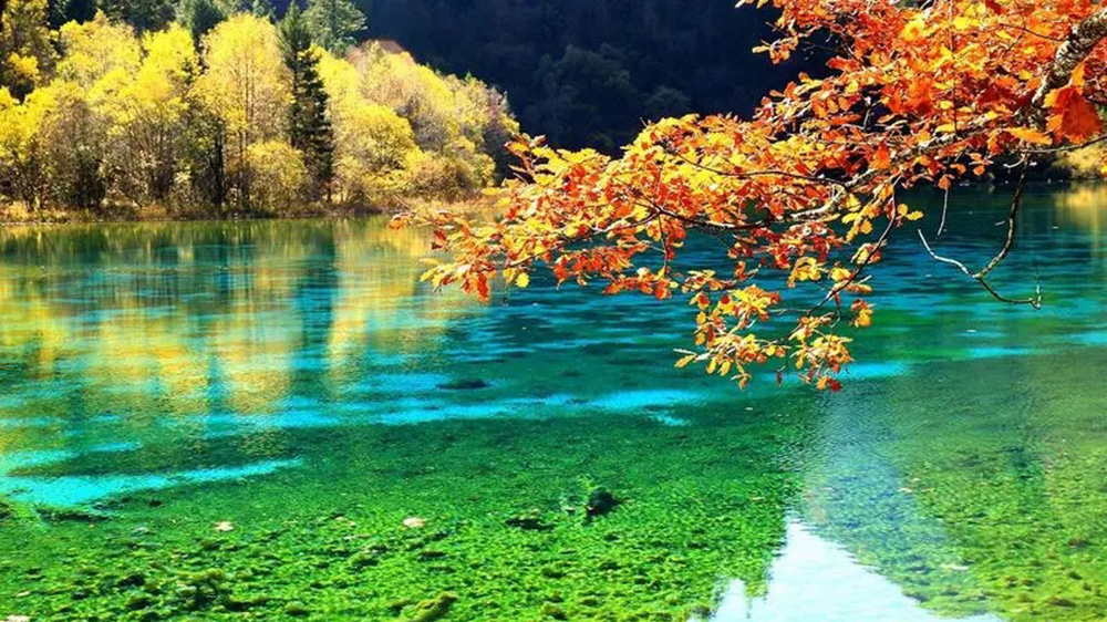 文旅：第四屆川渝文化發(fā)展合作論壇將于7月在成都召開，推動(dòng)文化事業(yè)大繁榮大發(fā)展！