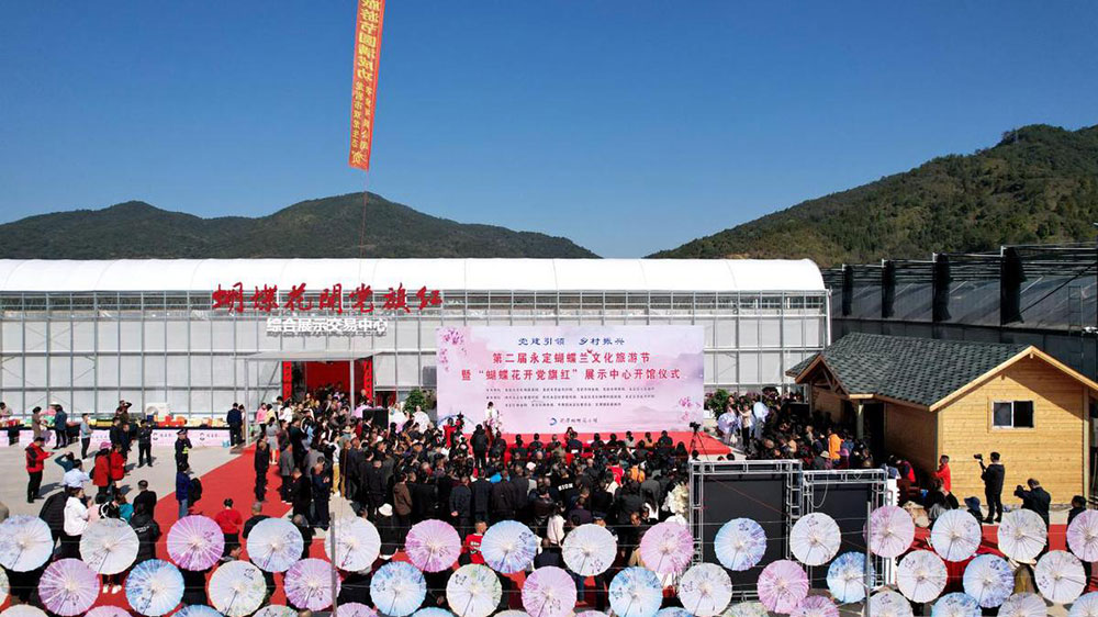 福建：第二屆永定蝴蝶蘭文化旅游節(jié)正式舉行，推動永定蝴蝶蘭產(chǎn)業(yè)高質(zhì)量發(fā)展！