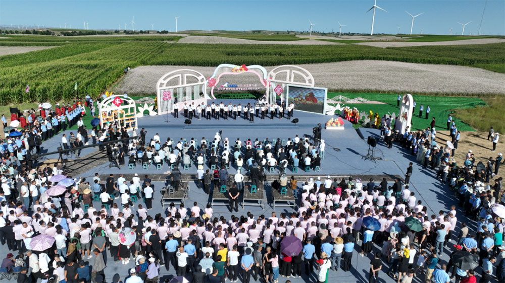 陜西：中國定邊第六屆紅花蕎麥文化旅游節(jié)開幕，探索產業(yè)融合發(fā)展模式，助力鄉(xiāng)村振興！