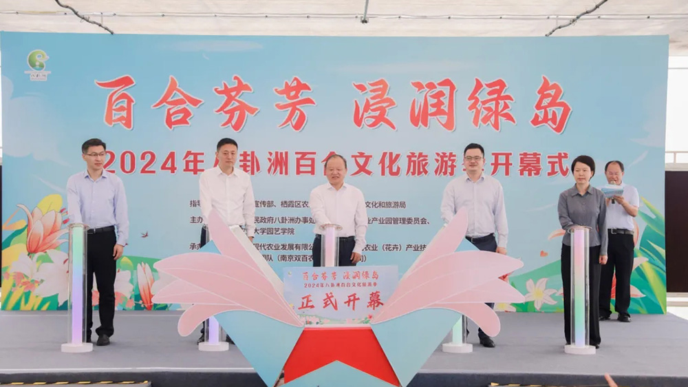 江蘇：2024年八卦洲百合文化旅游季正式啟動(dòng)，進(jìn)一步助推八卦洲現(xiàn)代農(nóng)業(yè)產(chǎn)業(yè)振興！